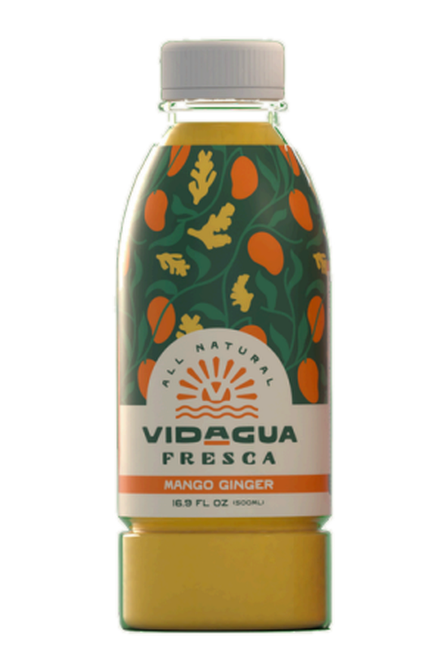 Vidagua - Mango Ginger